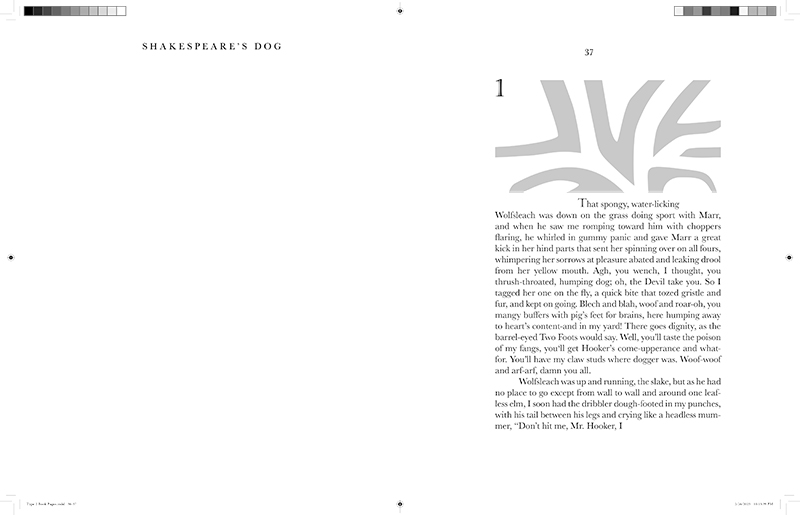 Type 2 chapter book re-design_Part6